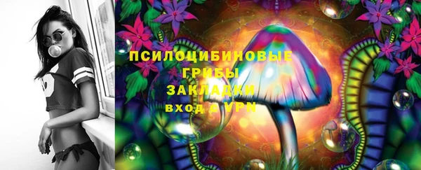 MDMA Богородицк